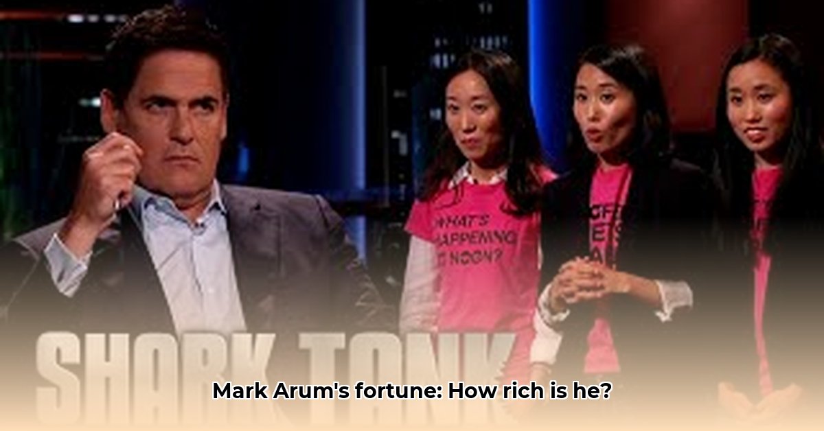mark-arum-net-worth
